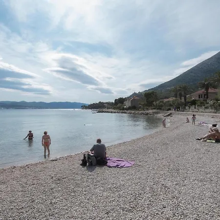 City فندق مبيت وإفطار أوروبيتش